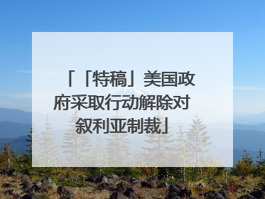 「特稿」美国政府采取行动解除对叙利亚制裁