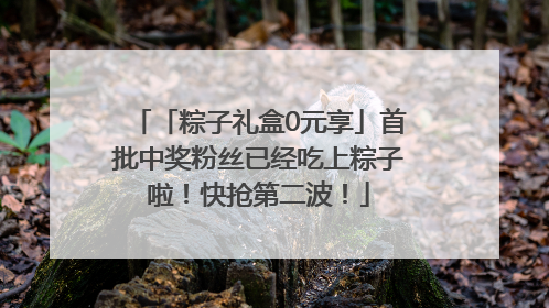 「粽子礼盒0元享」首批中奖粉丝已经吃上粽子啦！快抢第二波！