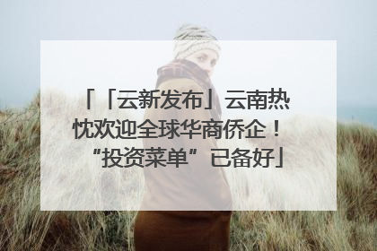 「云新发布」云南热忱欢迎全球华商侨企！“投资菜单”已备好