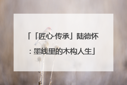 「匠心·传承」陆德怀：墨线里的木构人生