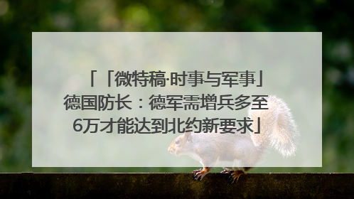 「微特稿·时事与军事」德国防长：德军需增兵多至6万才能达到北约新要求