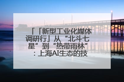 「新型工业化媒体调研行」从“北斗七星”到“热带雨林”：上海AI生态的技术商业共生密码