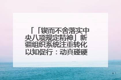「锲而不舍落实中央八项规定精神」新疆组织系统注重转化以知促行：动真碰硬抓好整改整治