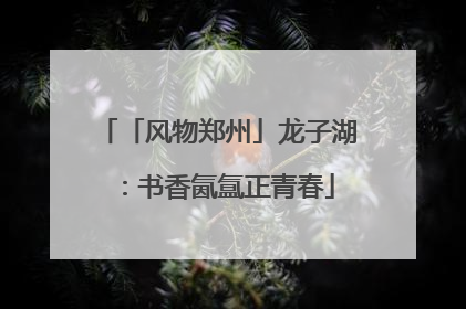 「风物郑州」龙子湖：书香氤氲正青春