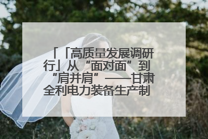 「高质量发展调研行」从“面对面”到“肩并肩”——甘肃全利电力装备生产制造项目一线见闻
