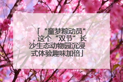 “童梦粽动员”，这个“双节”长沙生态动物园沉浸式体验趣味加倍