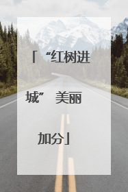 “红树进城” 美丽加分