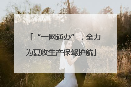 “一网通办”，全力为夏收生产保驾护航