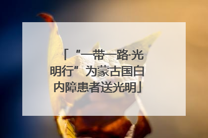 “一带一路·光明行”为蒙古国白内障患者送光明