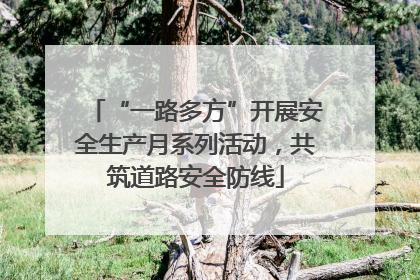 “一路多方”开展安全生产月系列活动，共筑道路安全防线