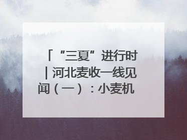 “三夏”进行时｜河北麦收一线见闻（一）：小麦机收减损“竞技” 农机高手麦田“过招”