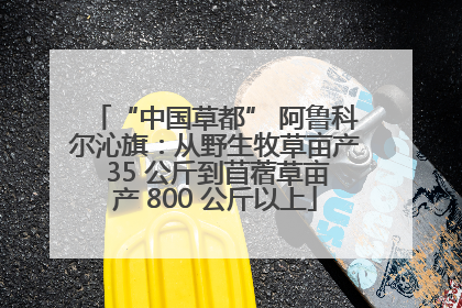 “中国草都” 阿鲁科尔沁旗：从野生牧草亩产 35 公斤到苜蓿草亩产 800 公斤以上