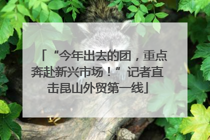 “今年出去的团，重点奔赴新兴市场！”记者直击昆山外贸第一线