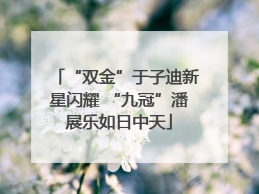 “双金”于子迪新星闪耀 “九冠”潘展乐如日中天