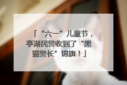 “六一”儿童节，亭湖民警收到了“黑猫警长”锦旗！