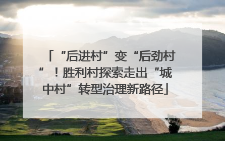 “后进村”变“后劲村”！胜利村探索走出“城中村”转型治理新路径