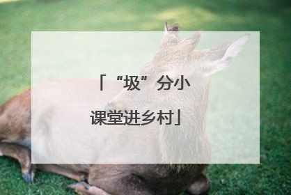 “圾”分小课堂进乡村