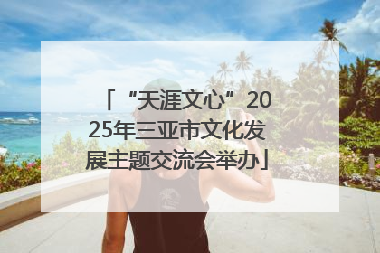 “天涯文心”2025年三亚市文化发展主题交流会举办