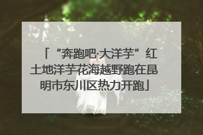 “奔跑吧·大洋芋”红土地洋芋花海越野跑在昆明市东川区热力开跑