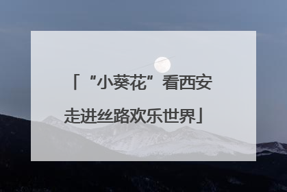 “小葵花”看西安走进丝路欢乐世界