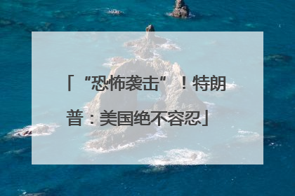 “恐怖袭击”！特朗普：美国绝不容忍