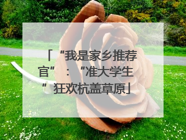 “我是家乡推荐官”：“准大学生”狂欢杭盖草原