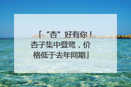 “杏”好有你！杏子集中登鹭，价格低于去年同期