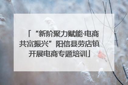“新阶聚力赋能·电商共富振兴”阳信县劳店镇开展电商专题培训