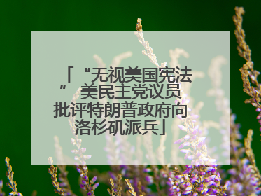 “无视美国宪法” 美民主党议员批评特朗普政府向洛杉矶派兵