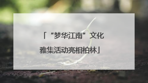 “梦华江南”文化雅集活动亮相柏林