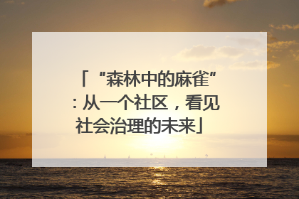 “森林中的麻雀”：从一个社区，看见社会治理的未来