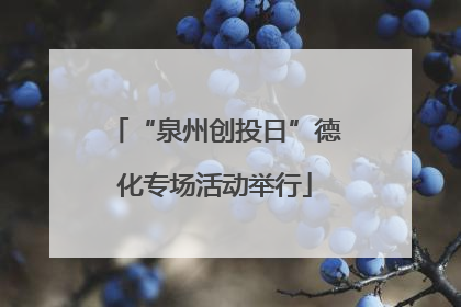 “泉州创投日”德化专场活动举行