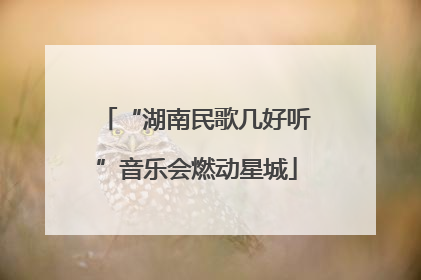 “湖南民歌几好听”音乐会燃动星城