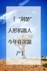 “荆楚”人形机器人今年在汉量产