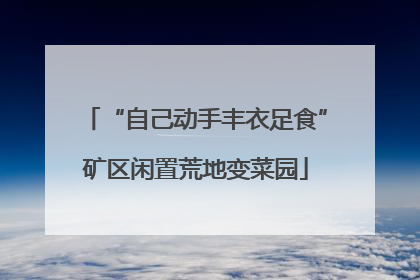 “自己动手丰衣足食”矿区闲置荒地变菜园
