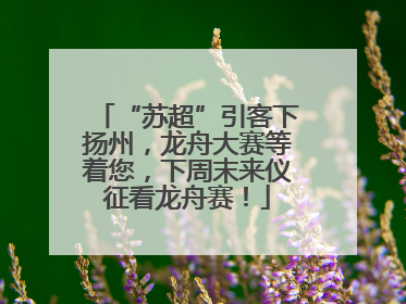 “苏超”引客下扬州，龙舟大赛等着您，下周末来仪征看龙舟赛！