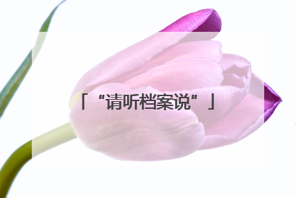 “请听档案说”