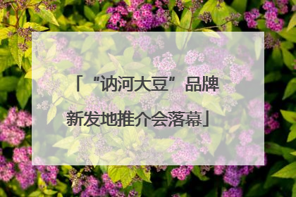 “讷河大豆”品牌新发地推介会落幕