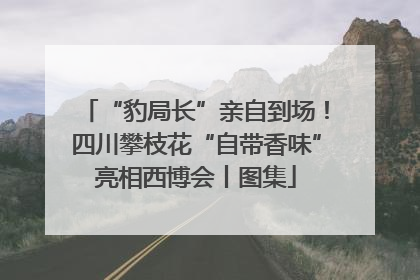 “豹局长”亲自到场！四川攀枝花“自带香味”亮相西博会丨图集