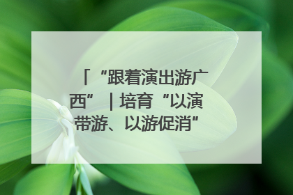 “跟着演出游广西”｜培育“以演带游、以游促消”文旅消费新生态