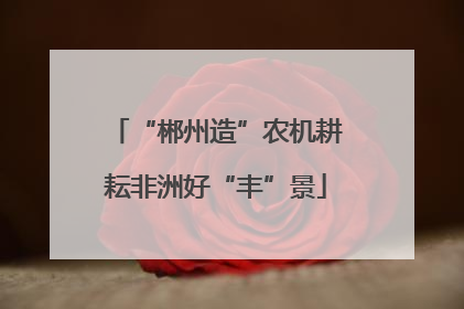 “郴州造”农机耕耘非洲好“丰”景