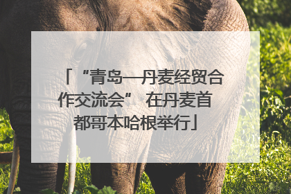 “青岛—丹麦经贸合作交流会” 在丹麦首都哥本哈根举行