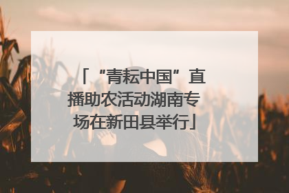 “青耘中国”直播助农活动湖南专场在新田县举行