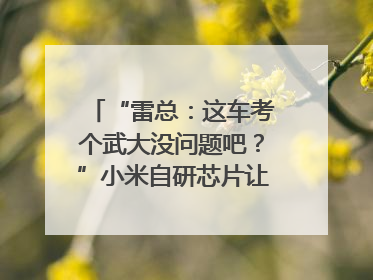 “雷总：这车考个武大没问题吧？”小米自研芯片让YU7会学习｜汽车科技