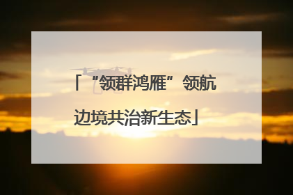 “领群鸿雁”领航边境共治新生态