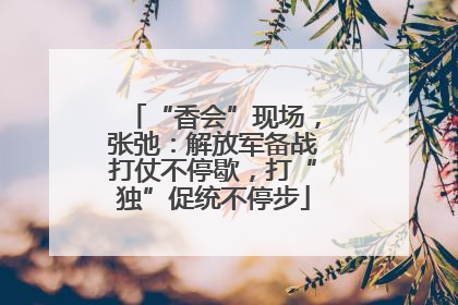 “香会”现场，张弛：解放军备战打仗不停歇，打“独”促统不停步
