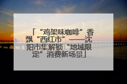 “鸡架味咖啡”香飘“西红市”——沈阳市集解锁“地域限定”消费新场景