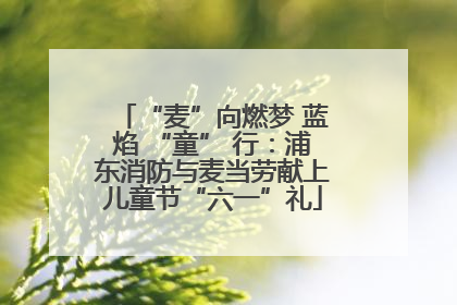 “麦”向燃梦 蓝焰 “童” 行：浦东消防与麦当劳献上儿童节“六一”礼
