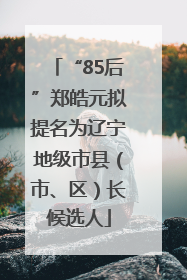 “85后”郑皓元拟提名为辽宁地级市县（市、区）长候选人