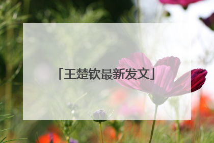 王楚钦最新发文